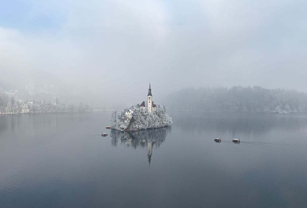 Фотография автора Ольга Афанасенко