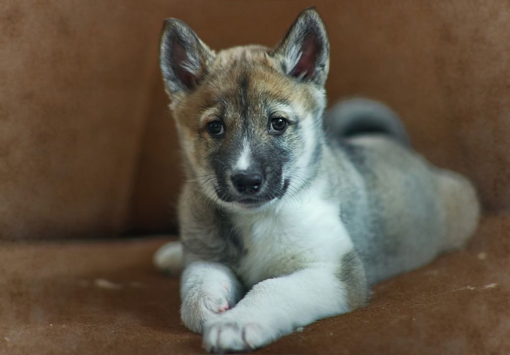 Photograph by Юрий Митенёв