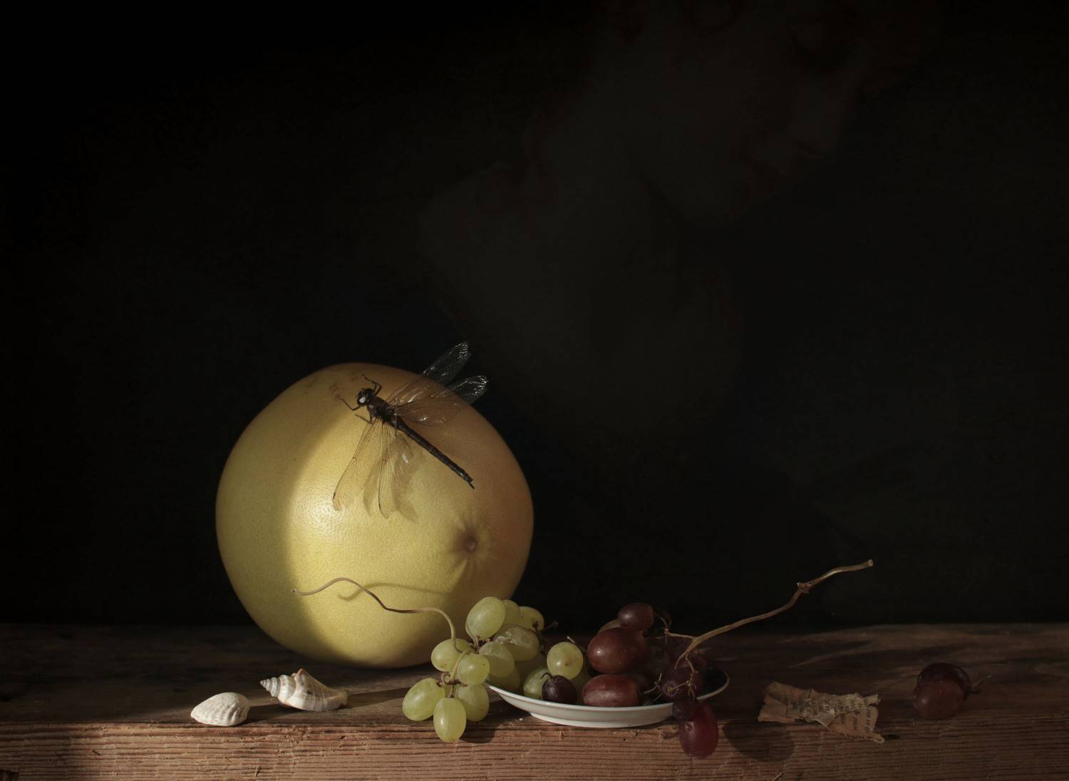 Фотография #10376087