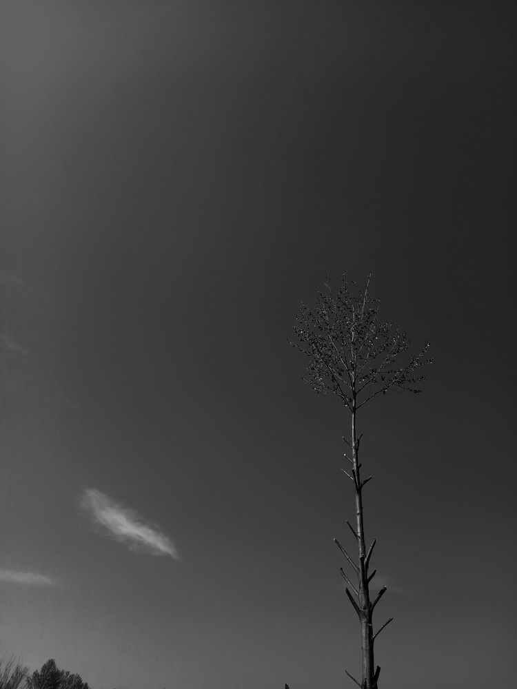 Photograph by Hadi Hadipour