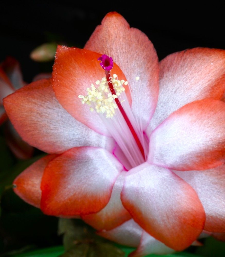 Photograph by Михаил Трусов