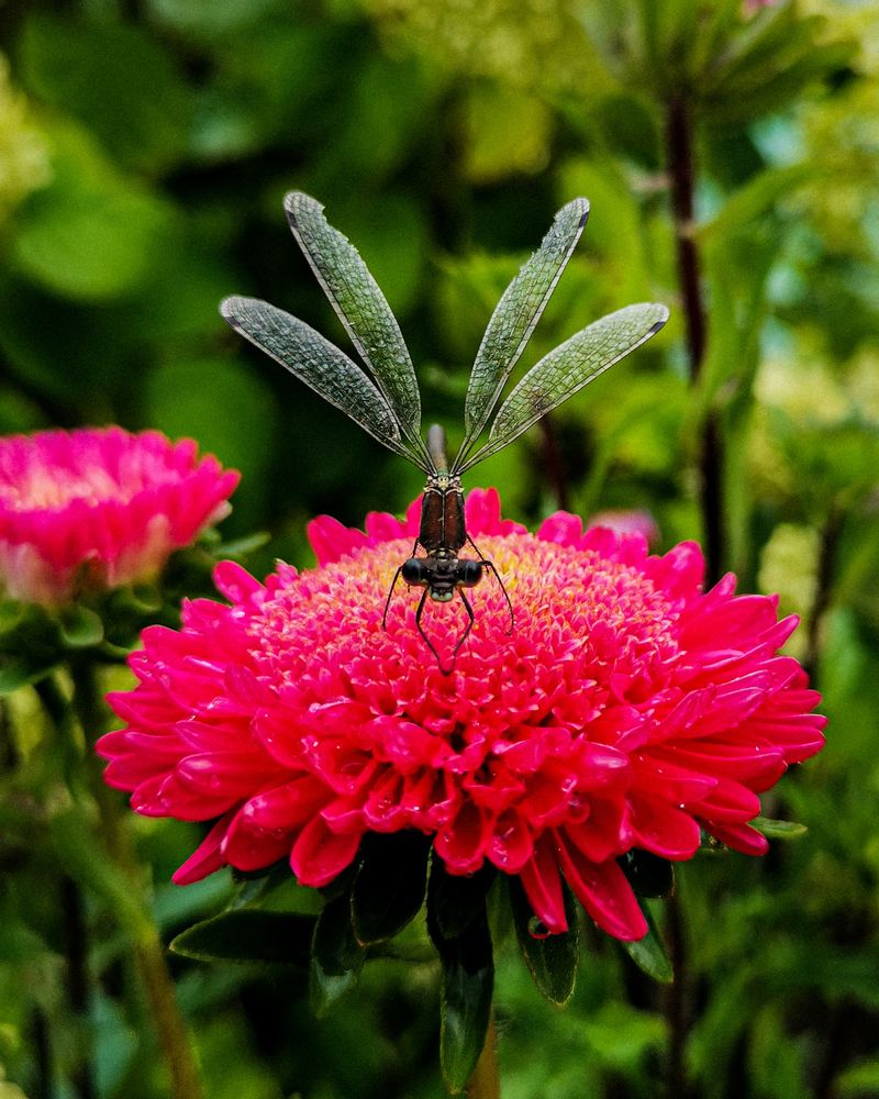 Photograph by Наталья Балабанова