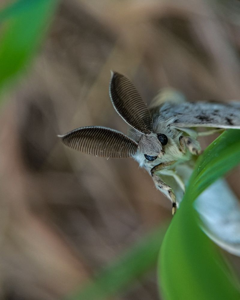 Photograph by Наталья Балабанова
