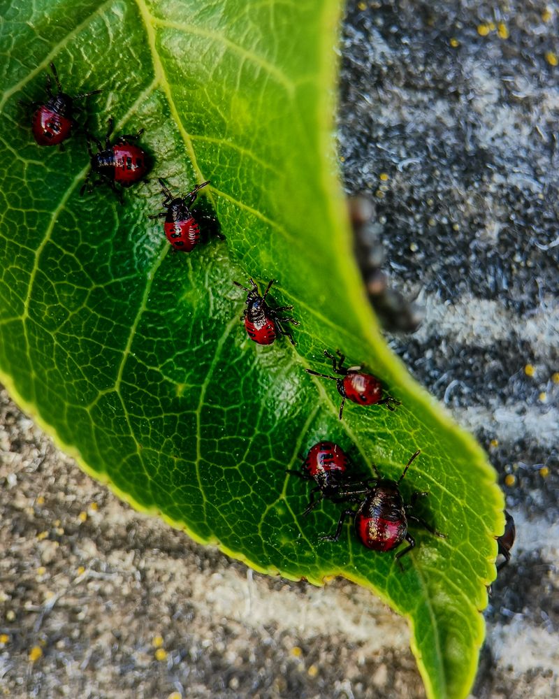 Photograph by Наталья Балабанова