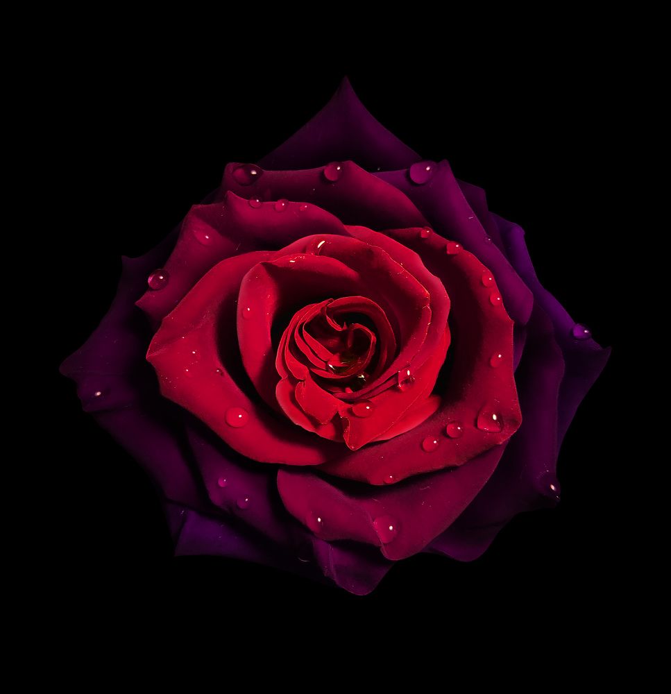 Photograph by Анастасия Семилетова