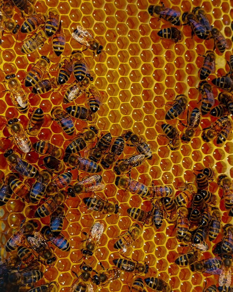 Photograph by Наталья Балабанова