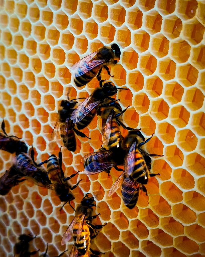 Photograph by Наталья Балабанова