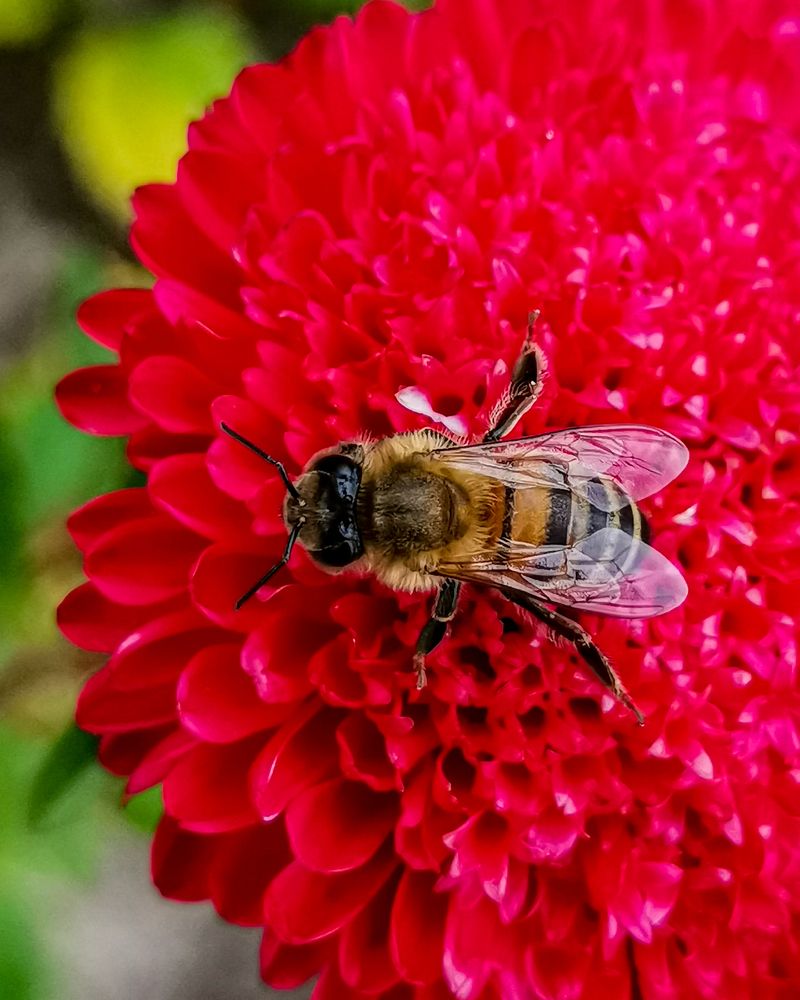 Photograph by Наталья Балабанова