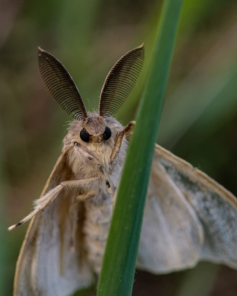 Photograph by Наталья Балабанова