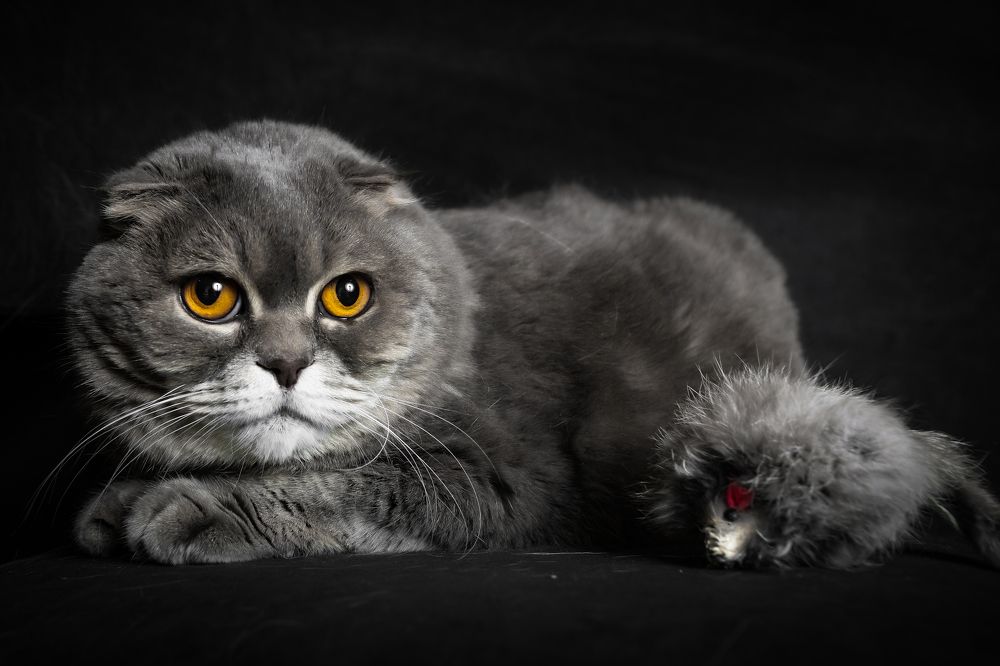 Photograph by Юлия Калугина