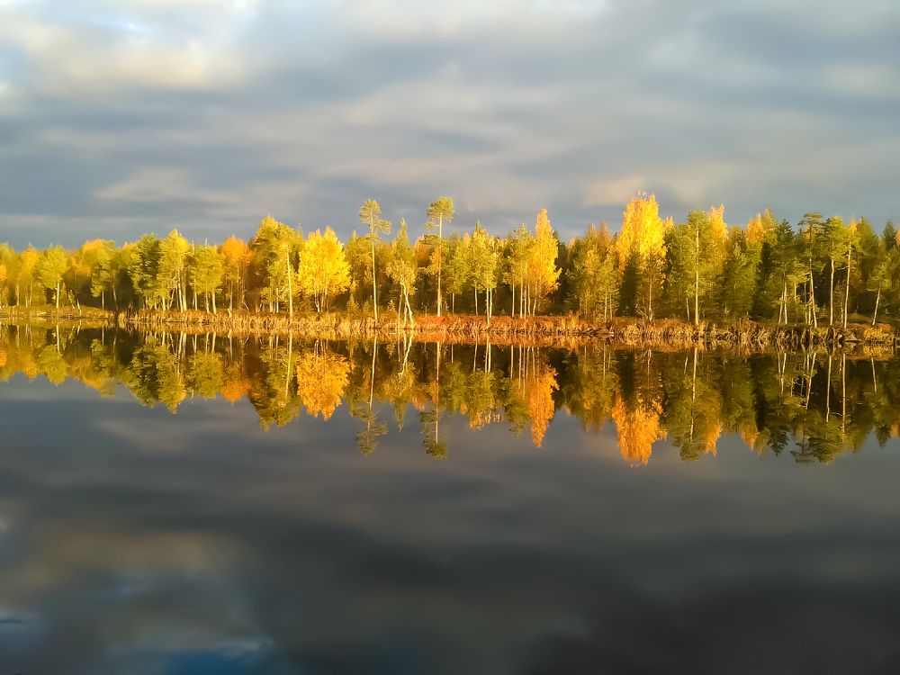 Photograph by дмитрий самсонов