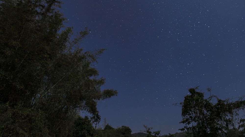 Star-studded Sky on February Night..