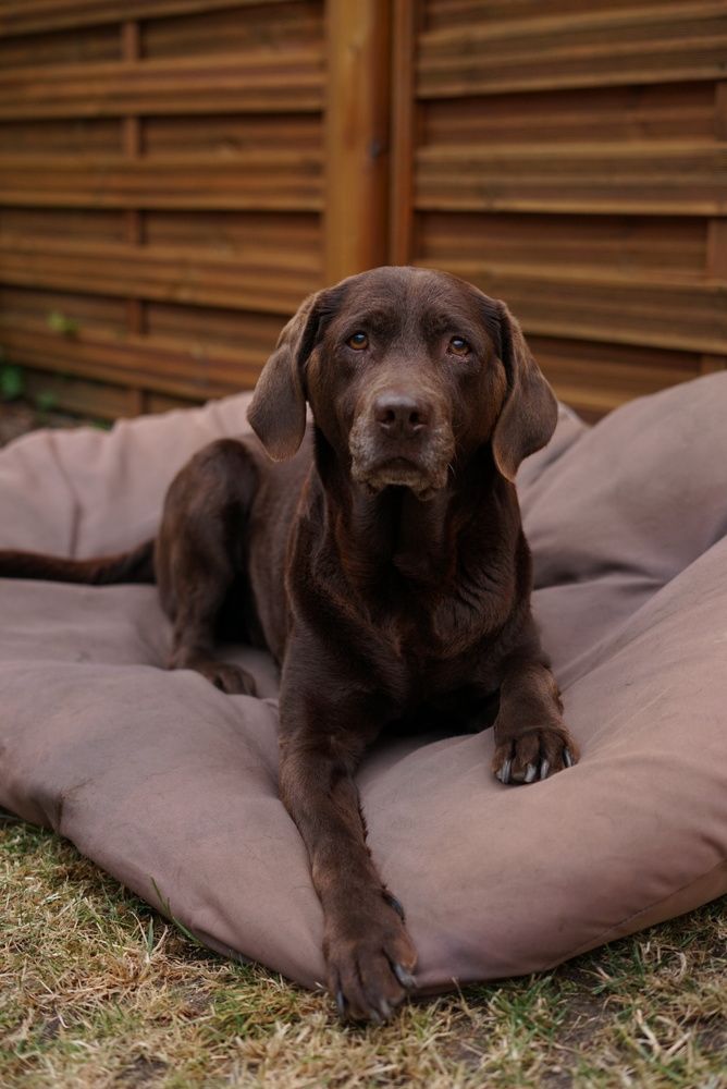 Photograph by Swetlana Brumm