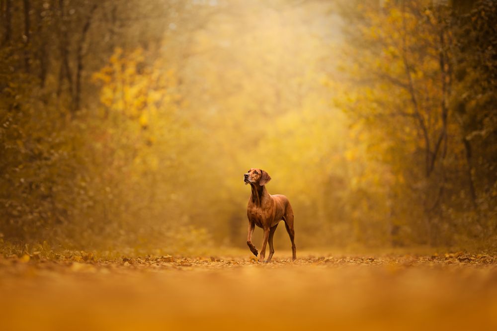 Photograph by karin bruhin