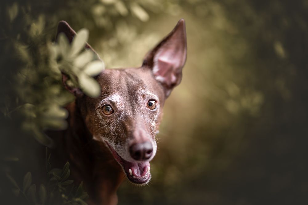 Photograph by Leticia Hernandez