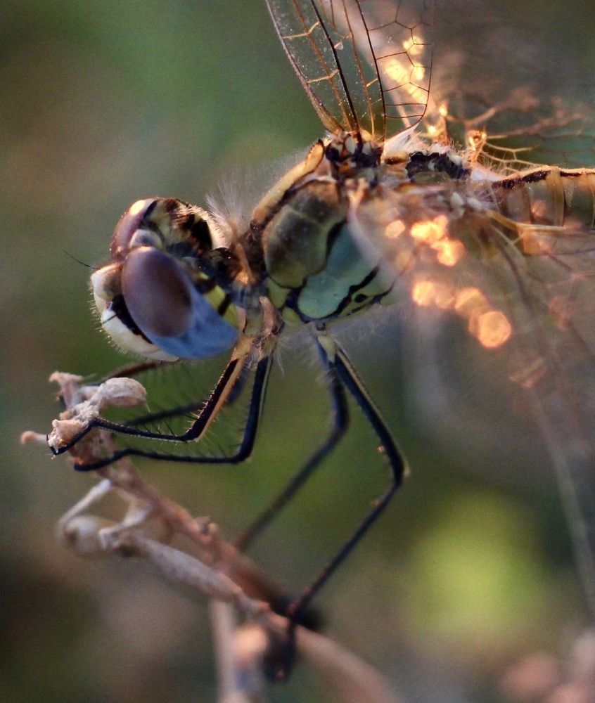 Photograph by Александр