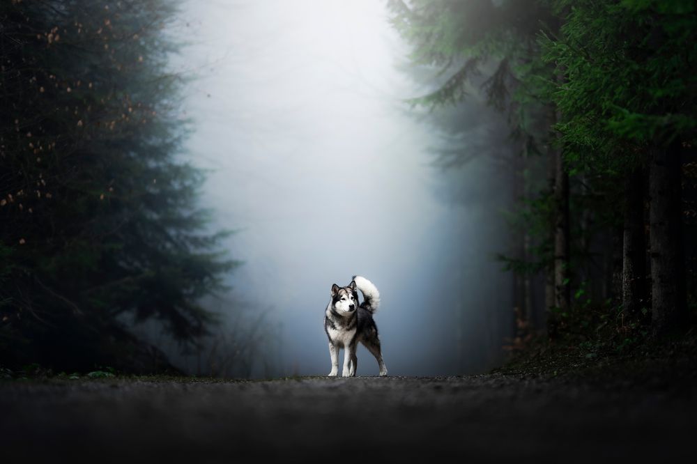 Photograph by karin bruhin