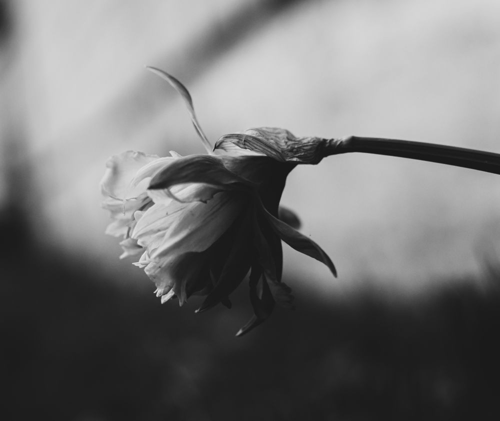 Photograph by Сергей Коляда