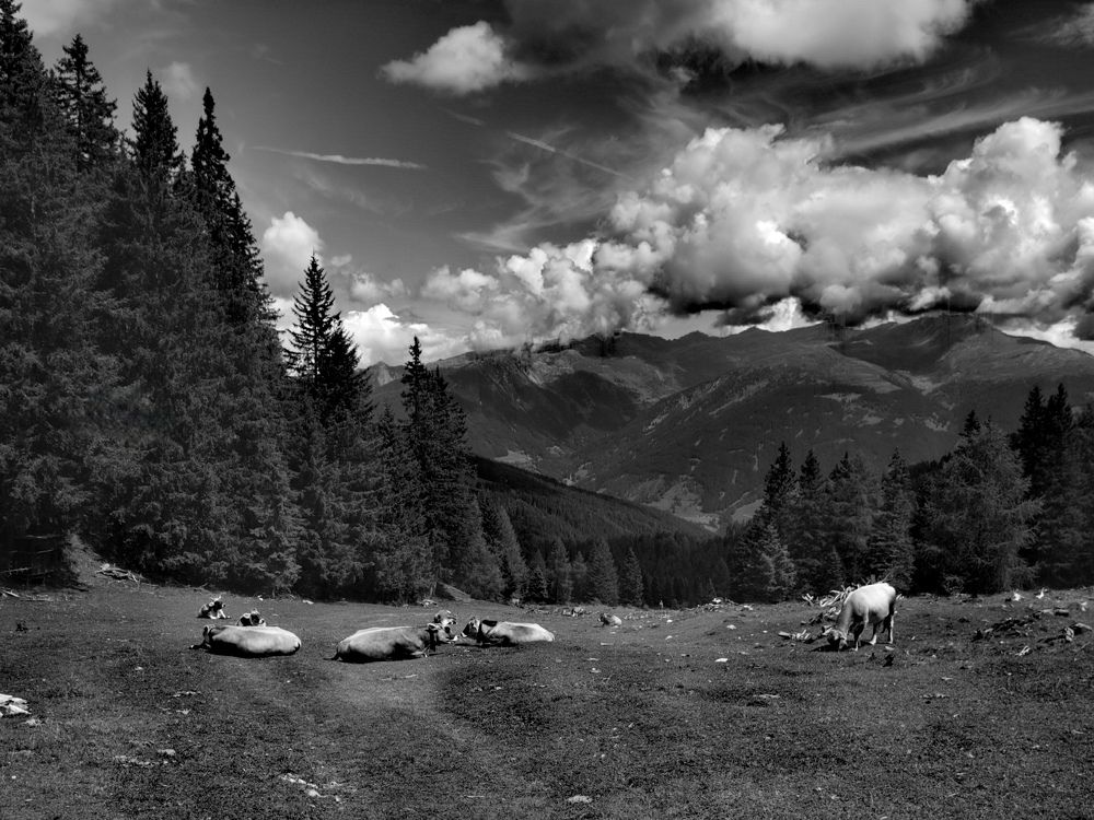 Photograph by Sandra Kazlauskiene