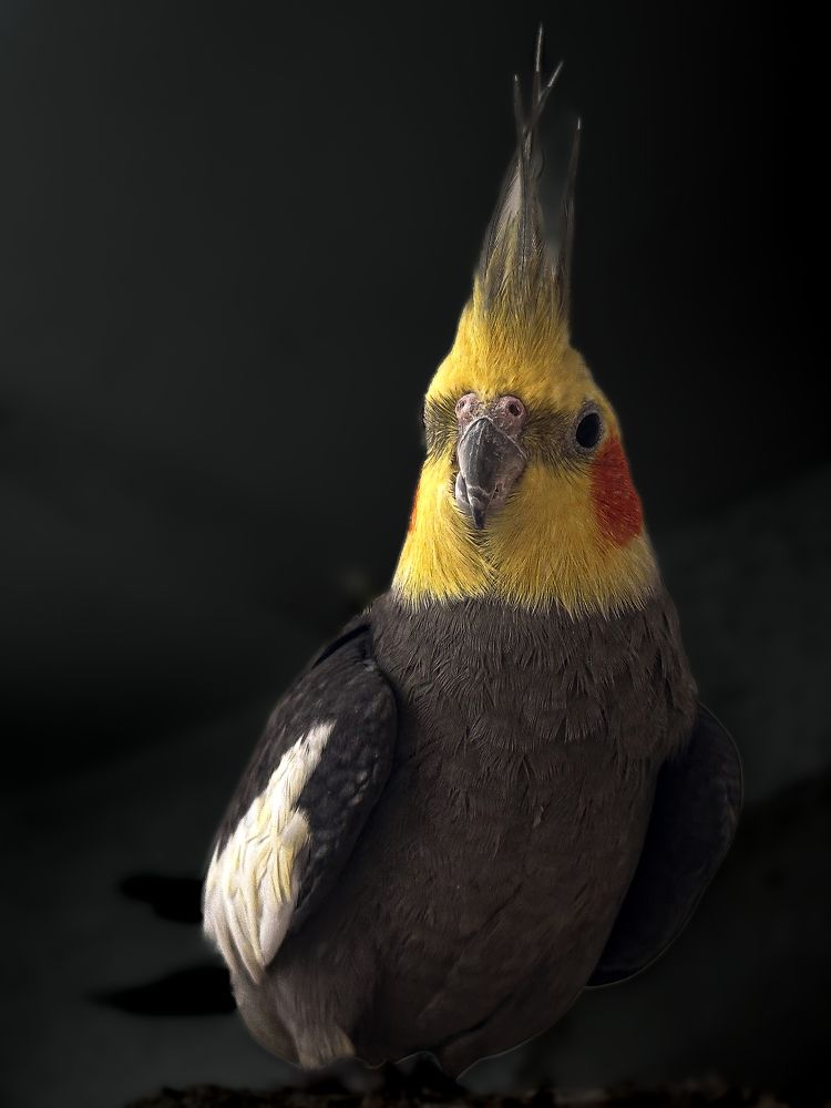 Photograph by JUAN M GUZMÁN