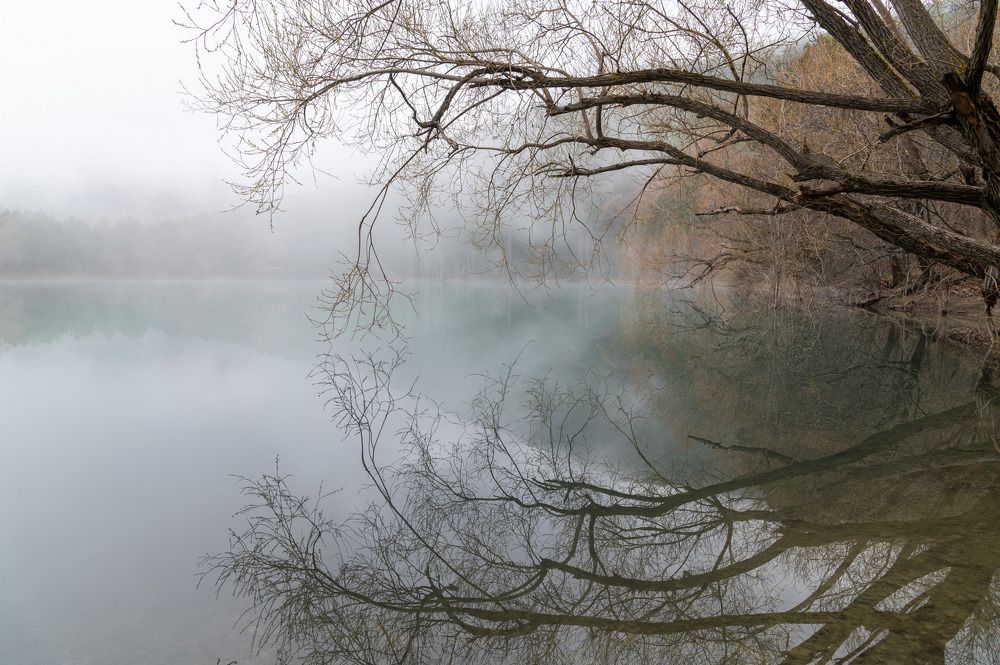 Photograph by Екатерина Крючкова