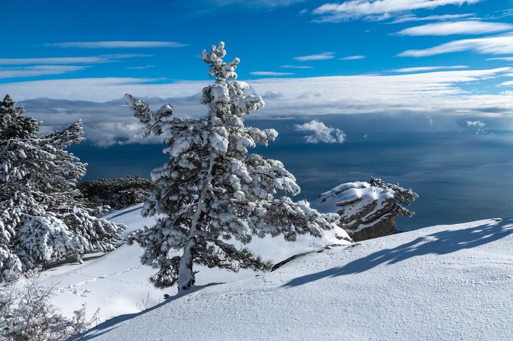 Photograph by Екатерина Крючкова