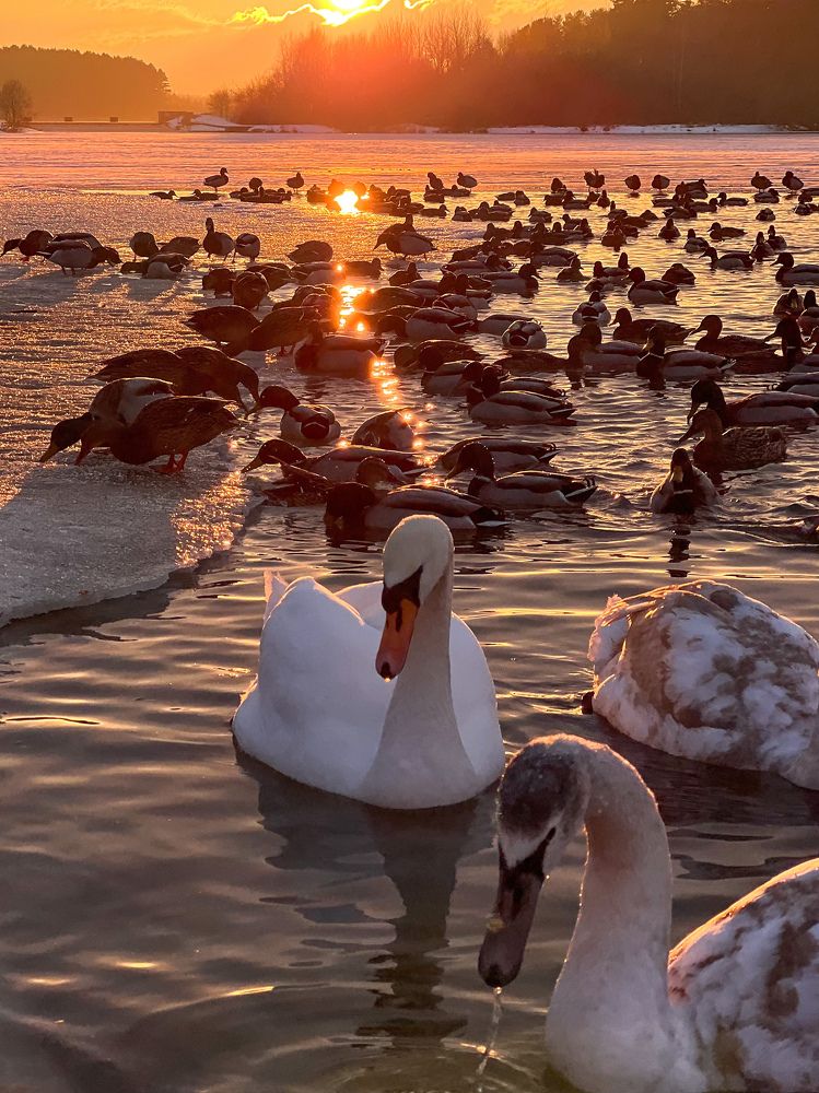 Photograph by Елена Башмакова