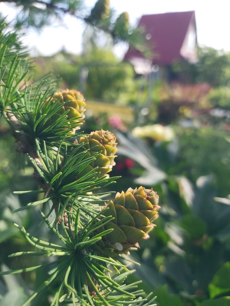 Photograph by Олег Лебедев