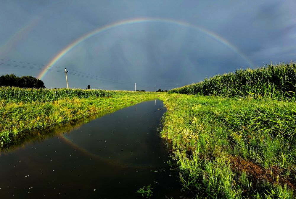 Photograph by Дмитрий Дрозд