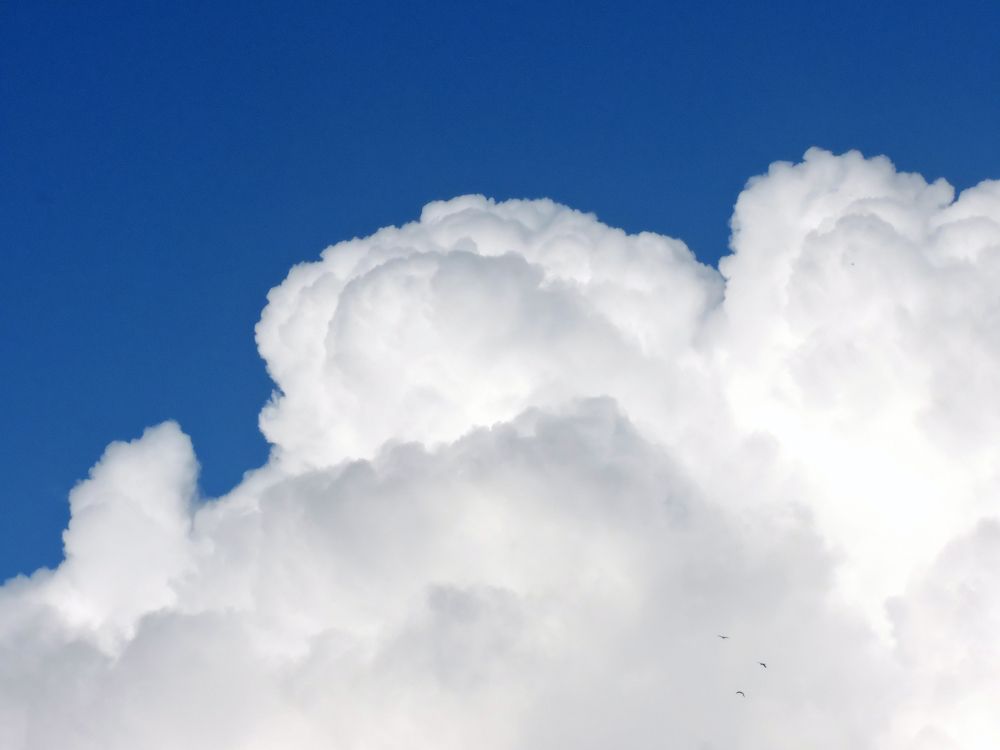 Photograph by Tatiana