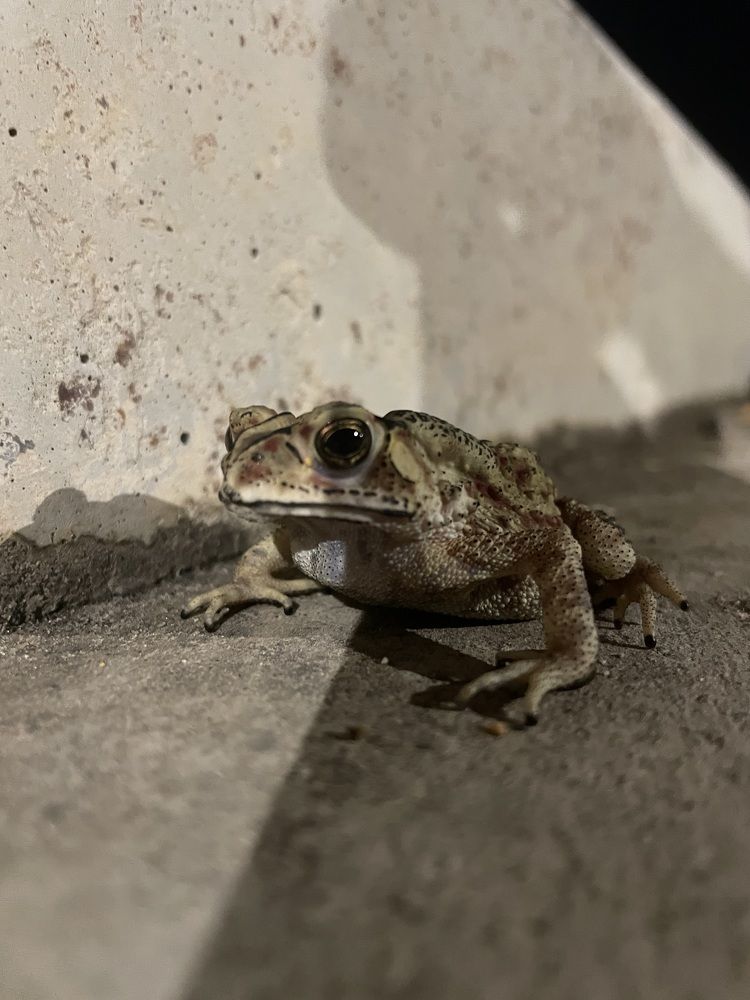 Photograph by Вадим Сигаев