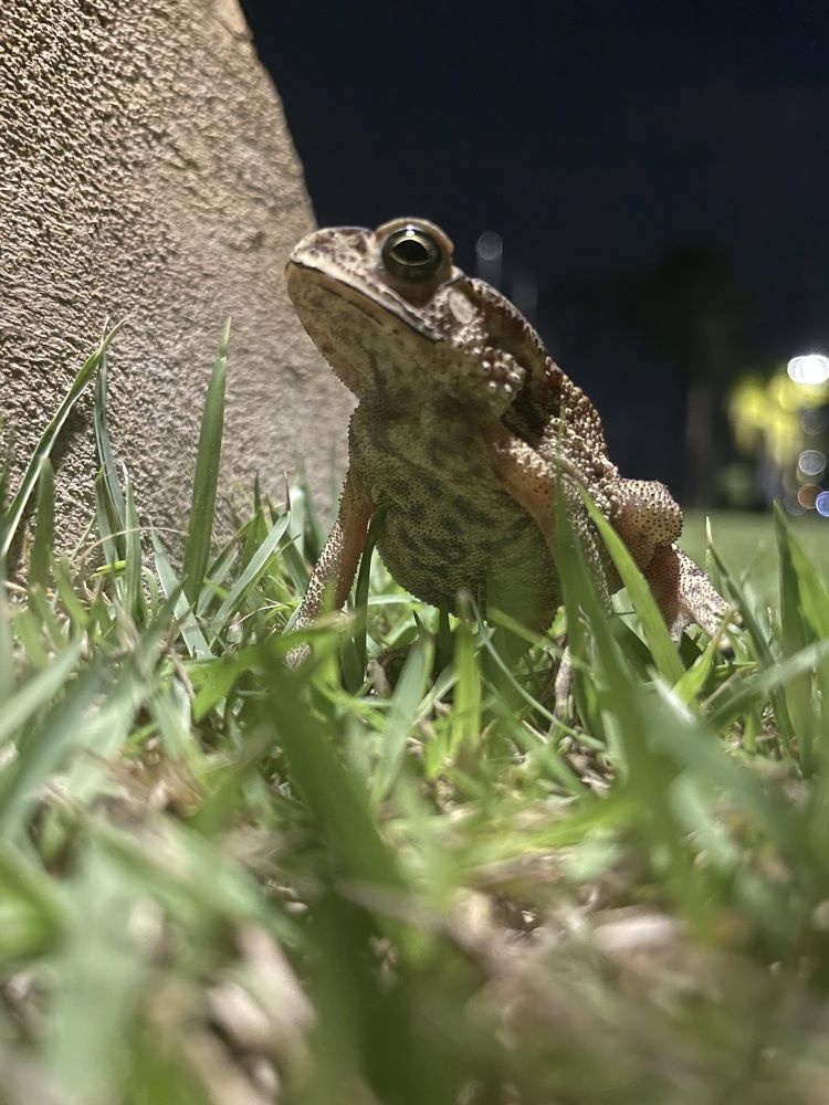 Photograph by Вадим Сигаев