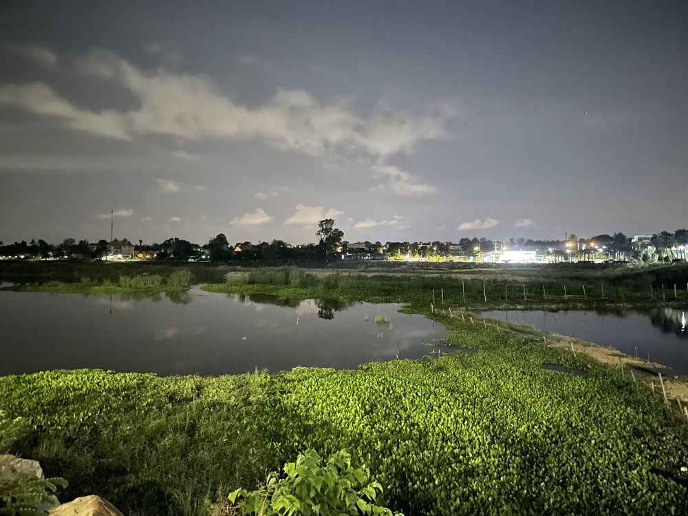 Photograph by Вадим Сигаев