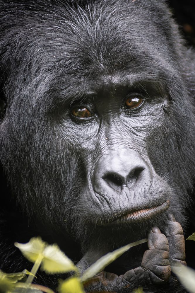 Photograph by Arie Katz