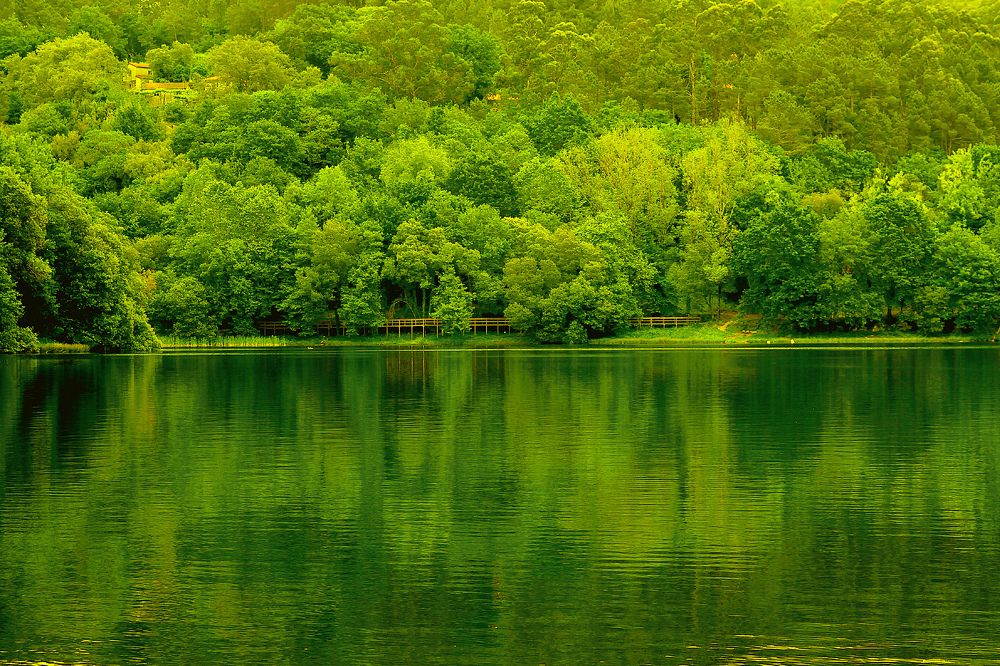 Photograph by Jose Guimaraes