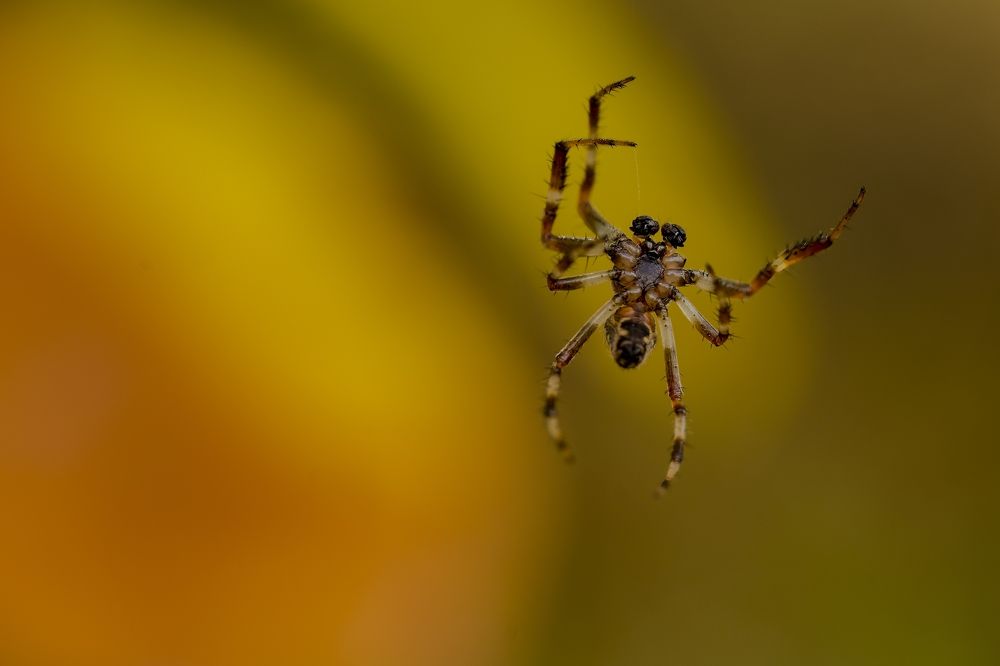 Photograph by Piotr Socha