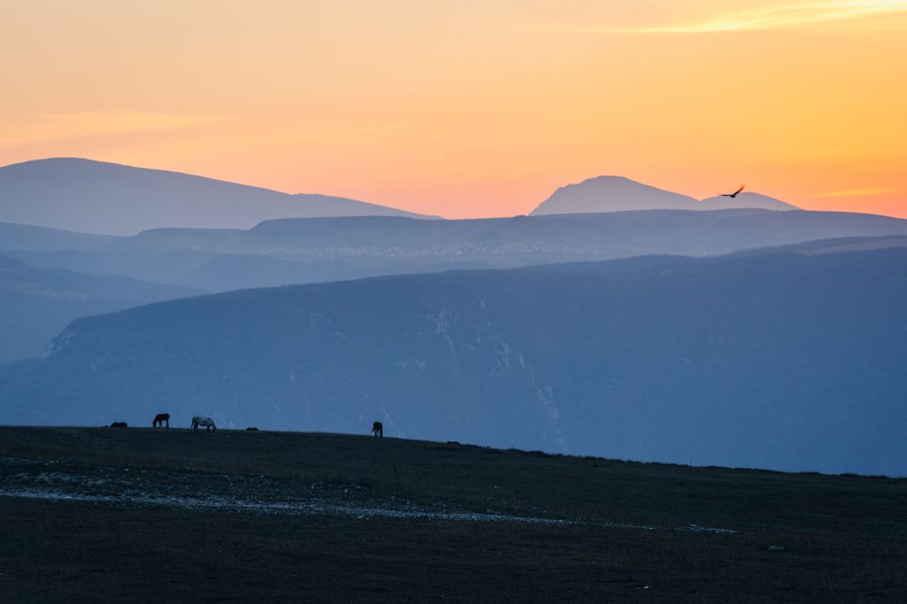 Photograph by Алексей Щупаков