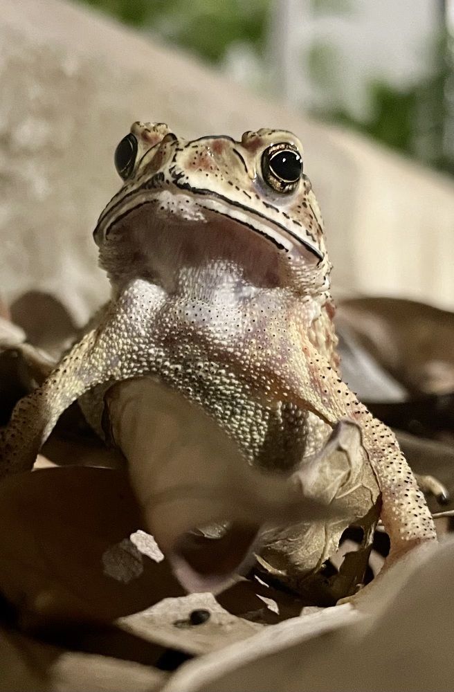 Photograph by Вадим Сигаев