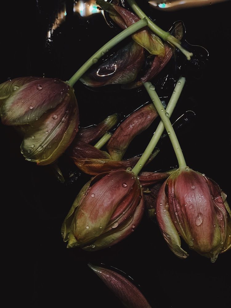 Photograph by Maria Schweigert