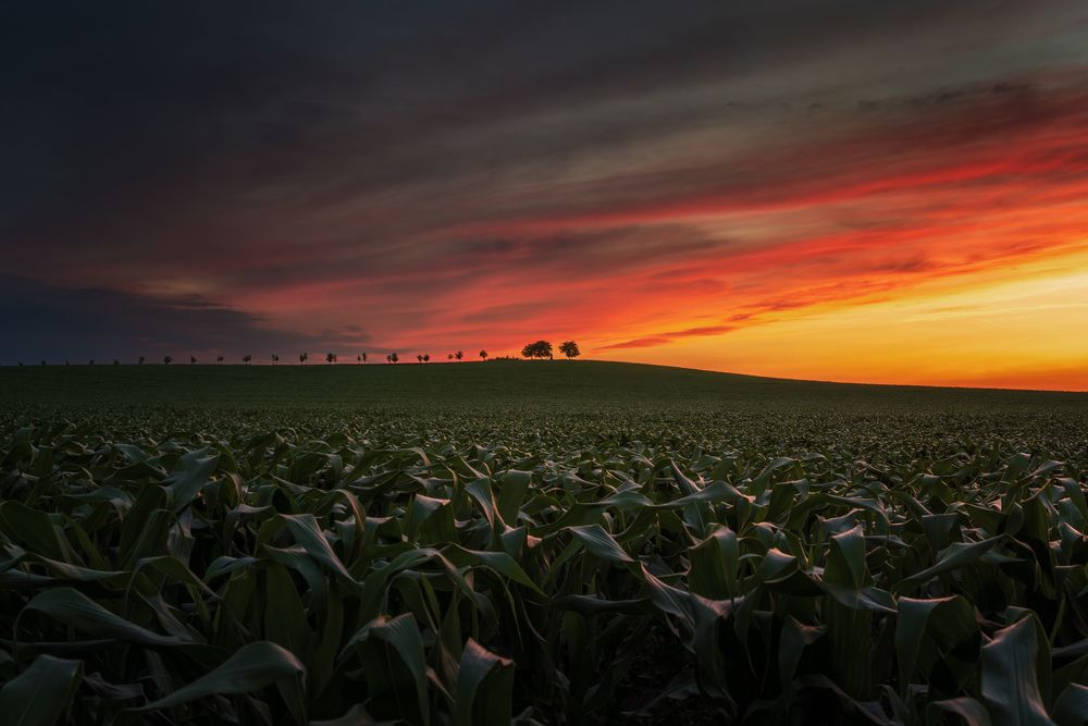 Photograph by Ivo Matějů