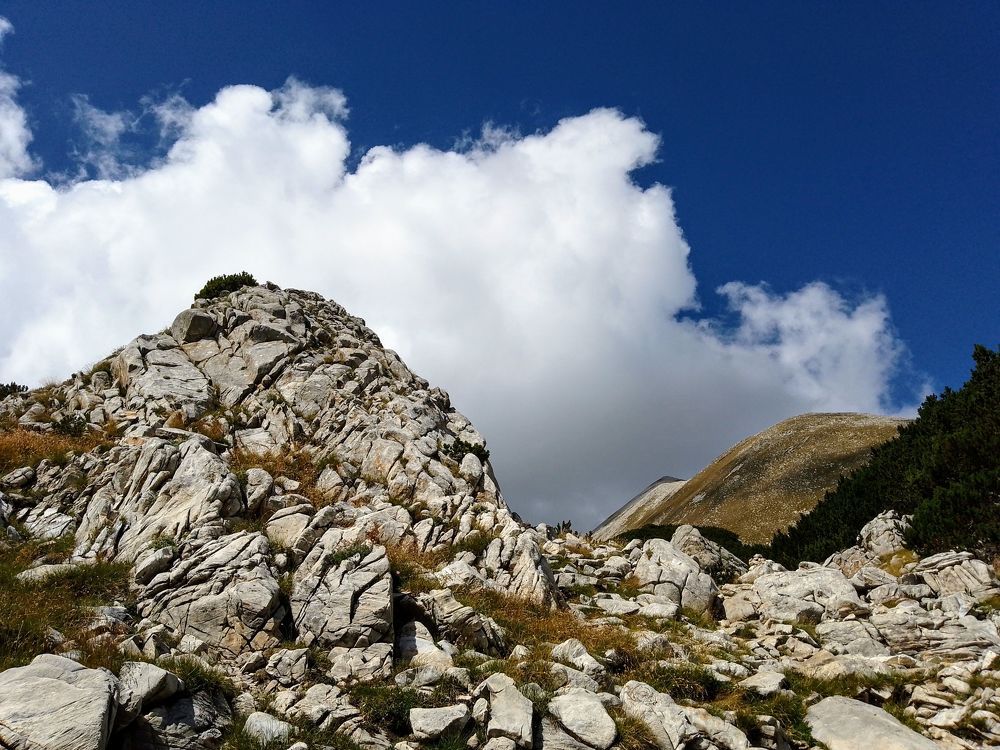 Фотография автора Liliya Slavcheva