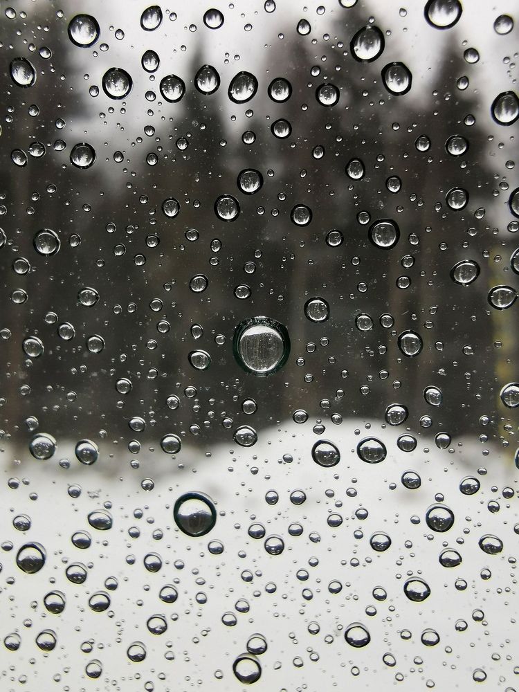 Photograph by Ольга Гирусова