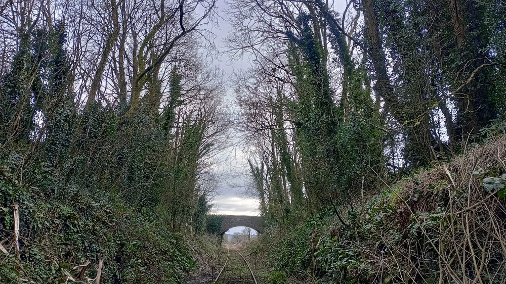 Photo #10376507