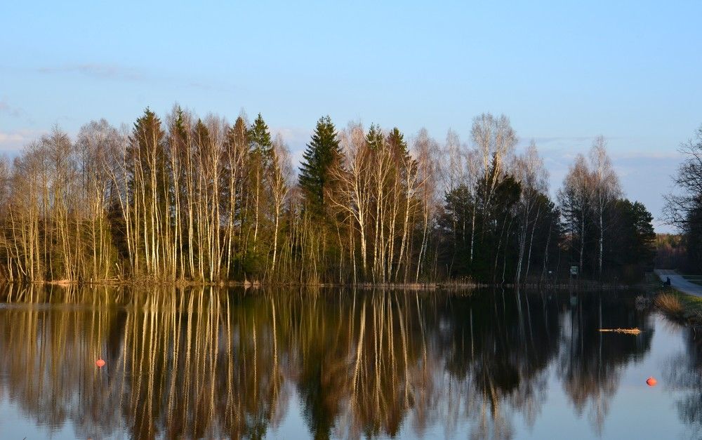 Photograph by Rita Būgienė