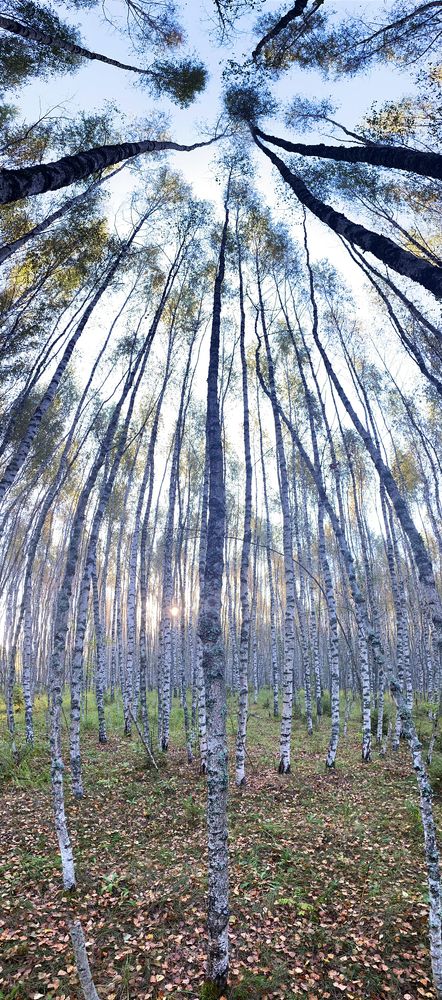 Photograph by Ершов Сергей