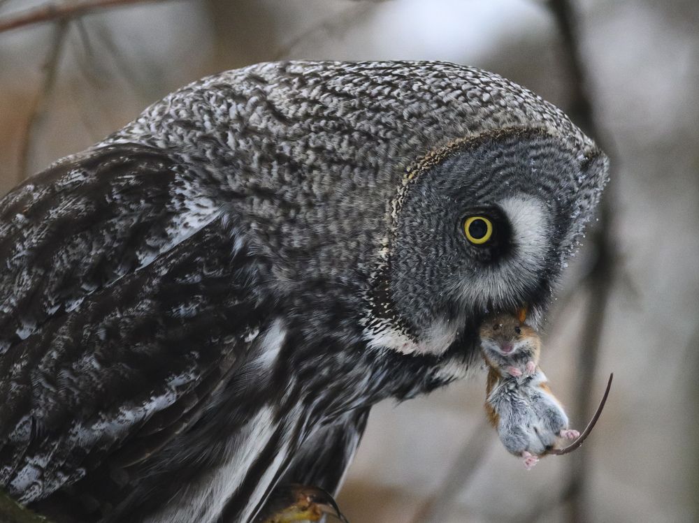 Фотография автора Мария Уланова