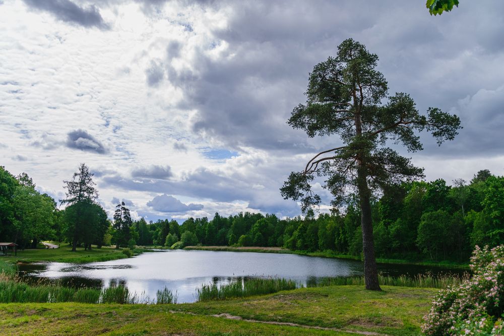 Photograph by Лилия Кондратьева