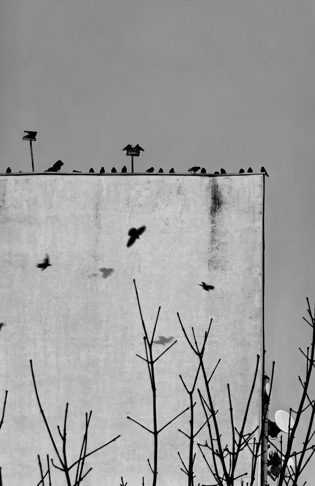 Фотография автора Елена Маслова