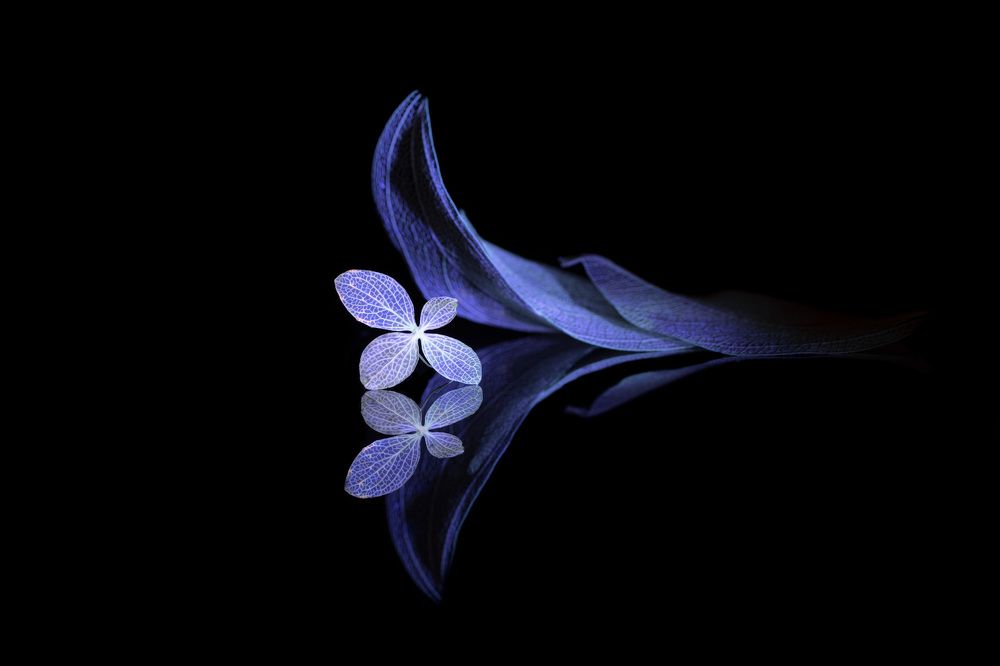 Photograph by Игорь Копцев