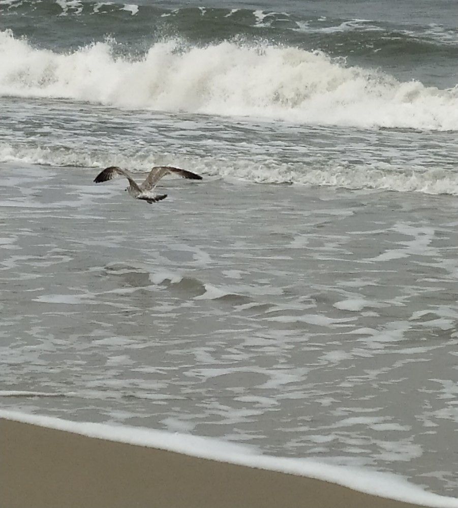 Photograph by Evgesha K